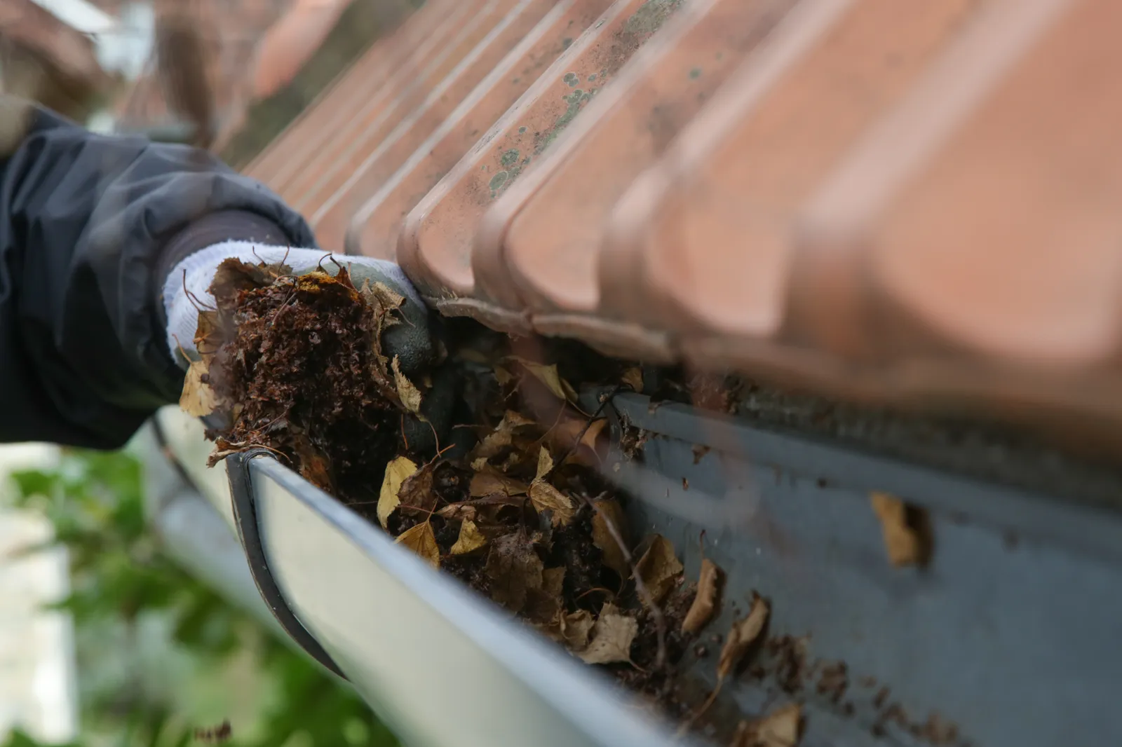 Roof cleaning gloved hand clearing leaves from gutter