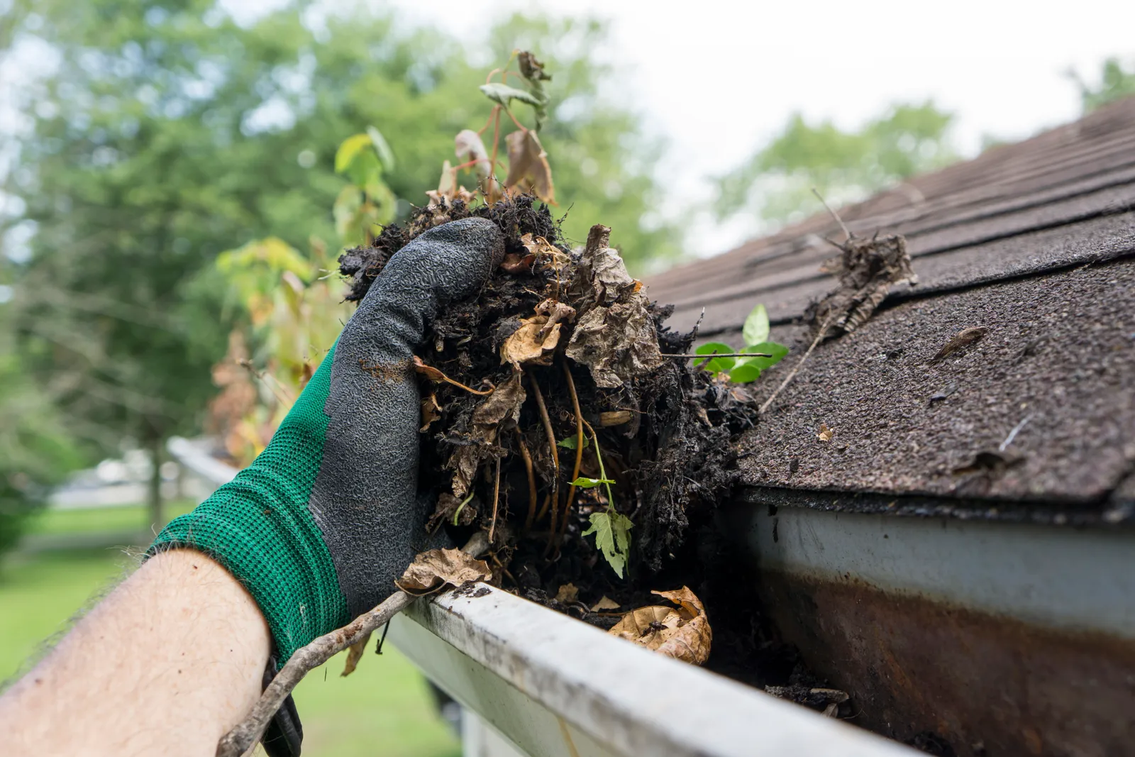 Roof cleaning removing moss and debris from gutter